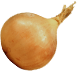 Opeeled onion